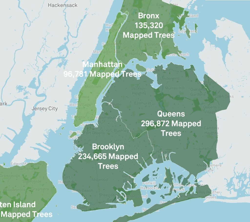 Нью-Йорк — бетонные джунгли или зеленый оазис?